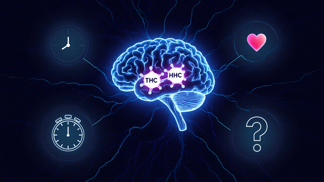 Gehirn mit bindenden Molekülen von THC und HHC an Rezeptoren