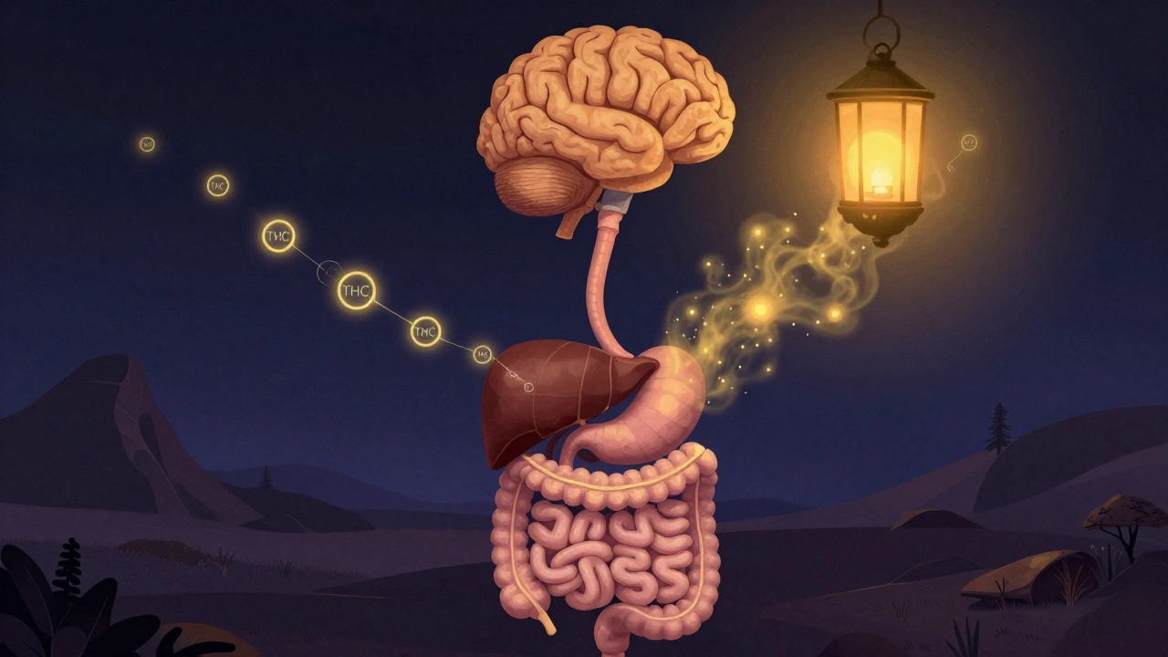 Surreale Darstellung der THC-Verarbeitung im Körper: Moleküle wandern vom Magen zur Leber und verwandeln sich in goldenen Dunst.