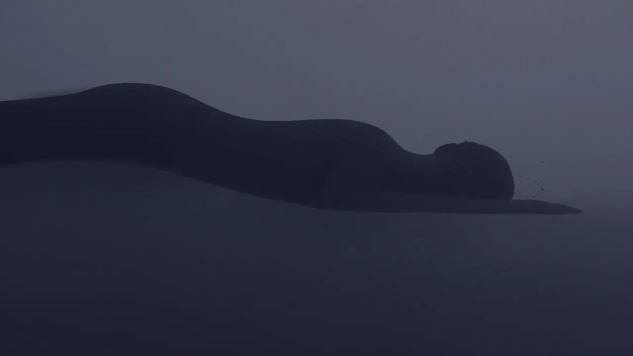 Eine Silhouette löst sich in sanften, dunklen Wellen auf, symbolisiert den Übergang vom Wachzustand zum Schlaf.