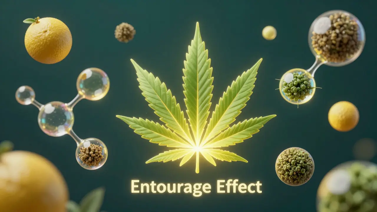 Konzeptuelle Darstellung des Entourage-Effekts mit Hanfblatt und Molekülen