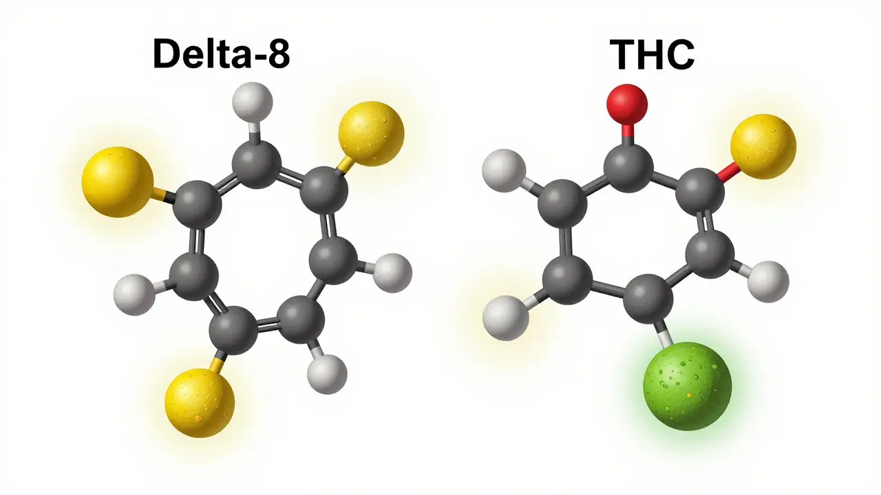 Molekulare Struktur von Delta-8 und Delta-9 THC