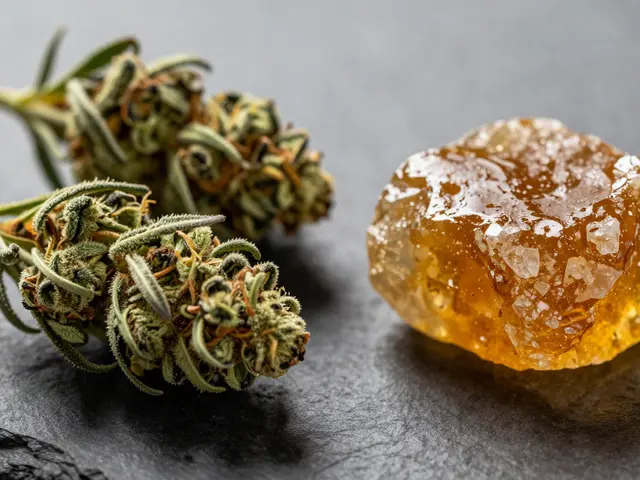Konzentrat vs. Blüte: Ist Konzentrat wirklich potenter? Ein Vergleich für Cannabis-Wein