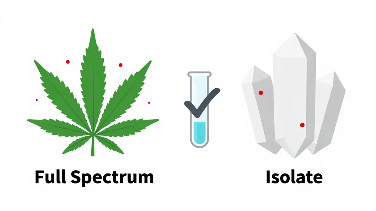 Vergleich Full-Spectrum mit THC-Spuren und reinem Isolat