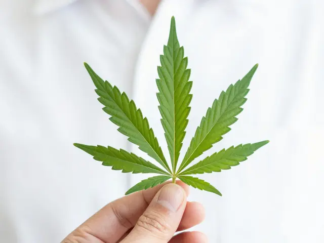 THCV und Sativa: Die beste Wahl für Gewichtsverlust?